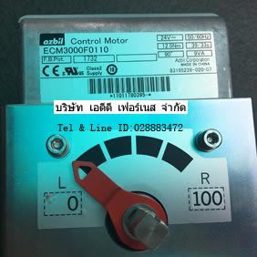 ECM3000F0110 | azbil Control Motor