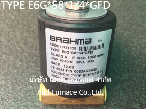 BRAHMA TYPE E6G*S8*1/4*GFD