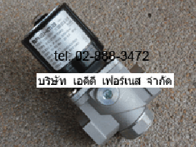 Brahma Type EG12*SR*GMO