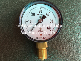 0~60mbar DUNGS KP80