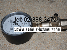 Pressure Gauge 150mbar GAS MOP5