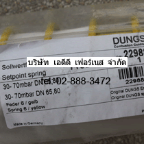 Dungs Setpoint Spring 30-70mbar DN65,DN80 color yellow