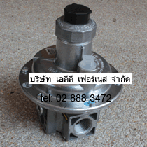 FRS 505 DUNGS
