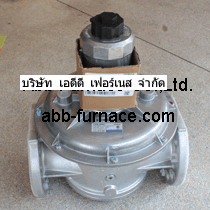 FRS 5080 Dungs