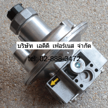 FRS505 Dungs