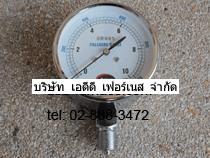 Pressure Gauge Eclipse