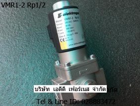 elektrogas Model VMR1-2 Rp1/2