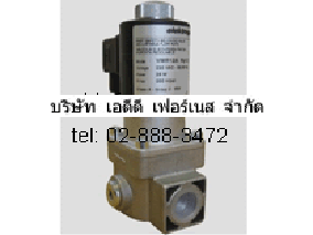 elektrogas Model VMR12A Rp1/2