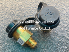 Fisher H110-250 Relief Valve