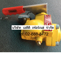Fisher N551-16 Emergency Shutoff Valves