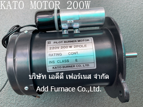 Pilot Burner Motor 220V 200W 2Pole