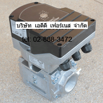 IC20 07W2E + LFC 232/40R05 Linear Control Valve