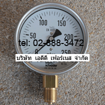 Kromschroder KFM 250 RB 100 Pressure Gauge