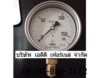 Afriso Pressure Gauge 160mbar