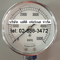 Kusaba Pressure Gauge