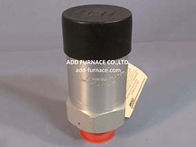 Rego AA3135A300 Safety Relief Valve